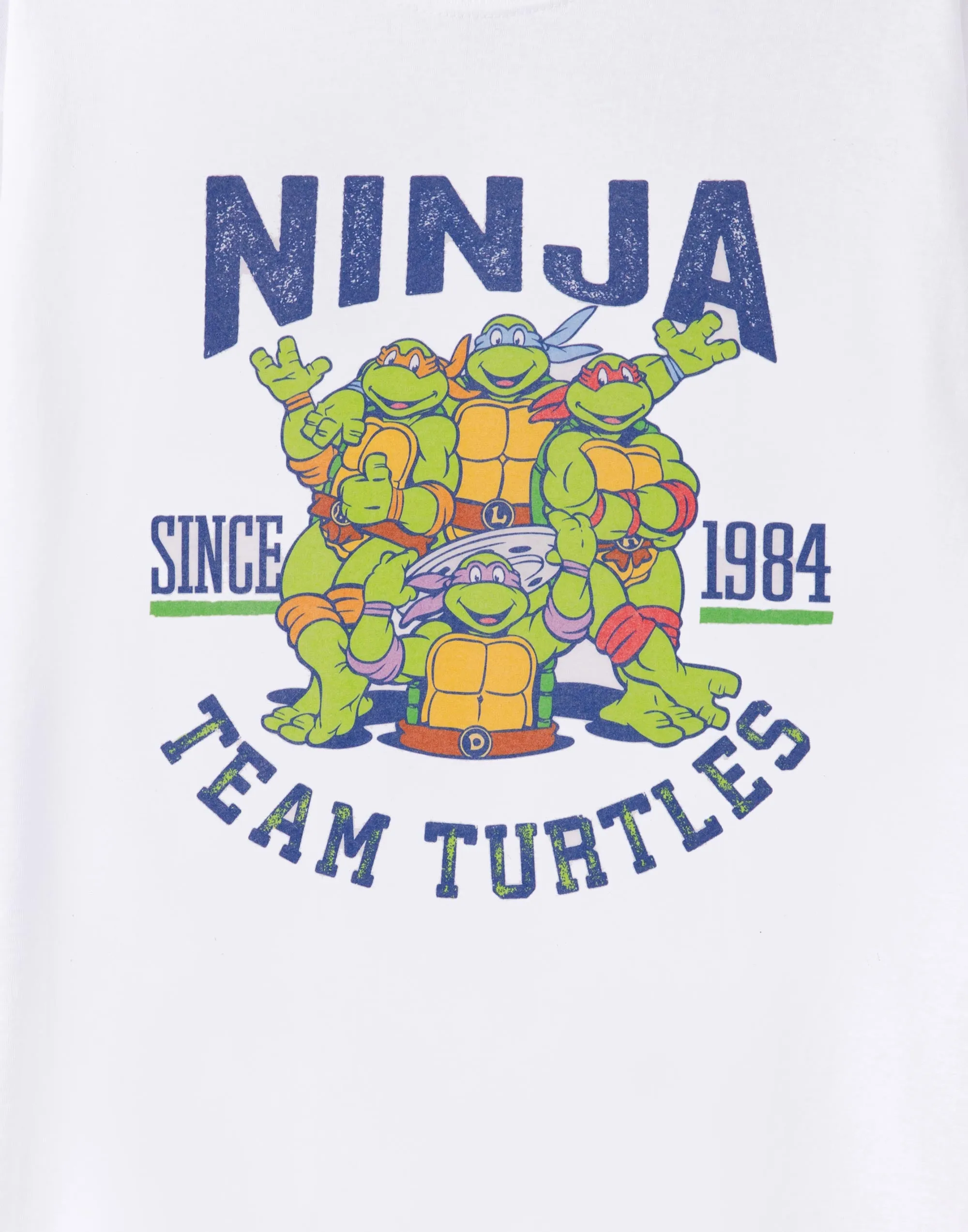 Teenage Mutant Ninja Turtles Collegiate 1984 Mens White T-Shirt