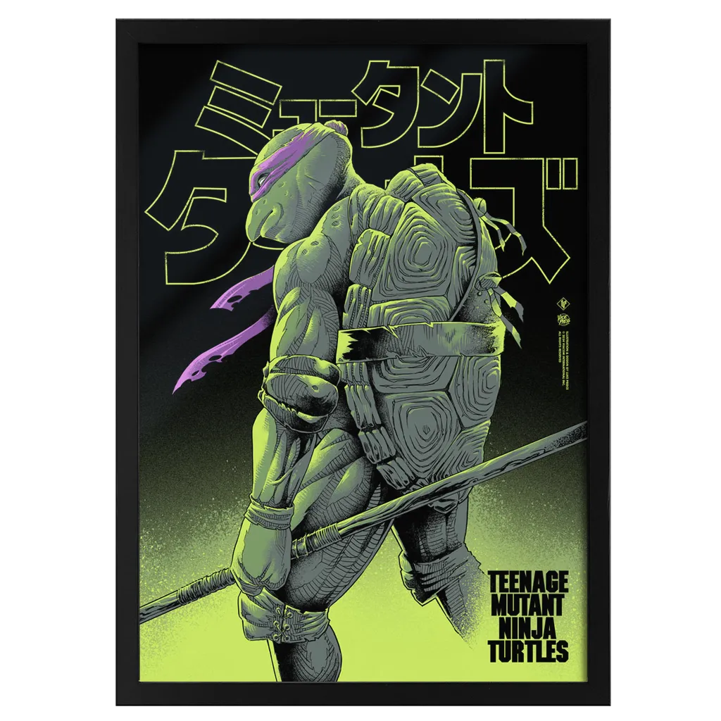 Teenage Mutant Ninja Turtles - Donatello