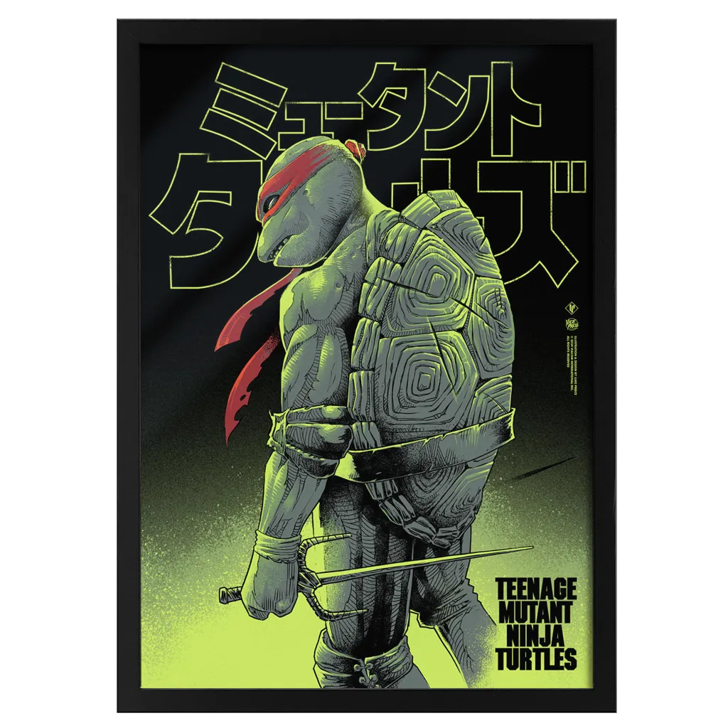 Teenage Mutant Ninja Turtles - Raphael